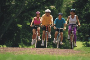 Quatre cyclistes traversent un parc par une journée d’été.