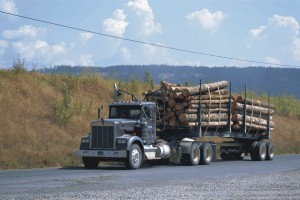 Un camion transportant des billots de bois traverse une prairie.